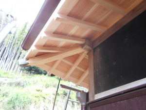 DSCN0617