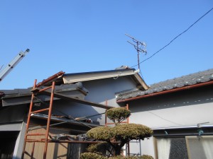 DSCN3381