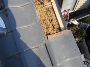 DSCN3384