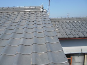 DSCN3389
