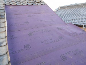 DSCN5853
