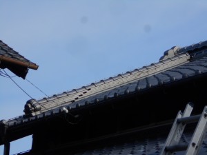 DSCN6061