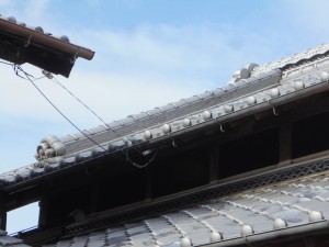 DSCN6067