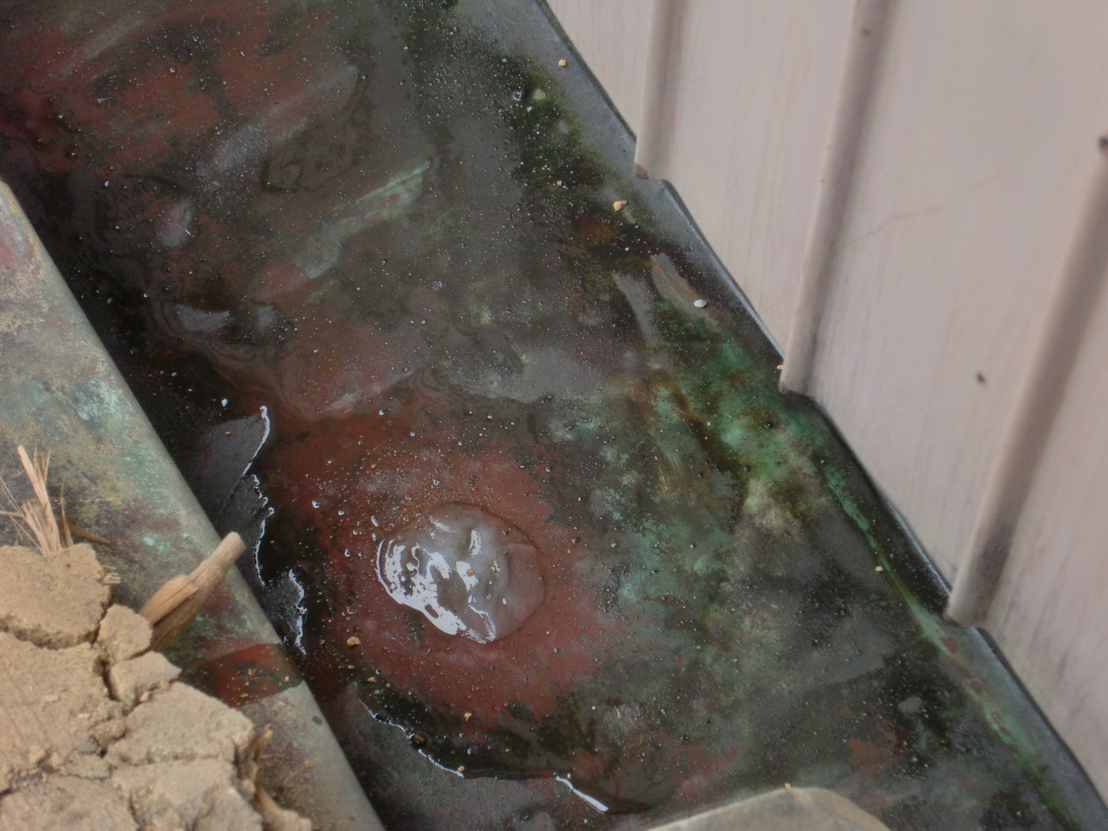 津市　銅板樋　雨漏り修理