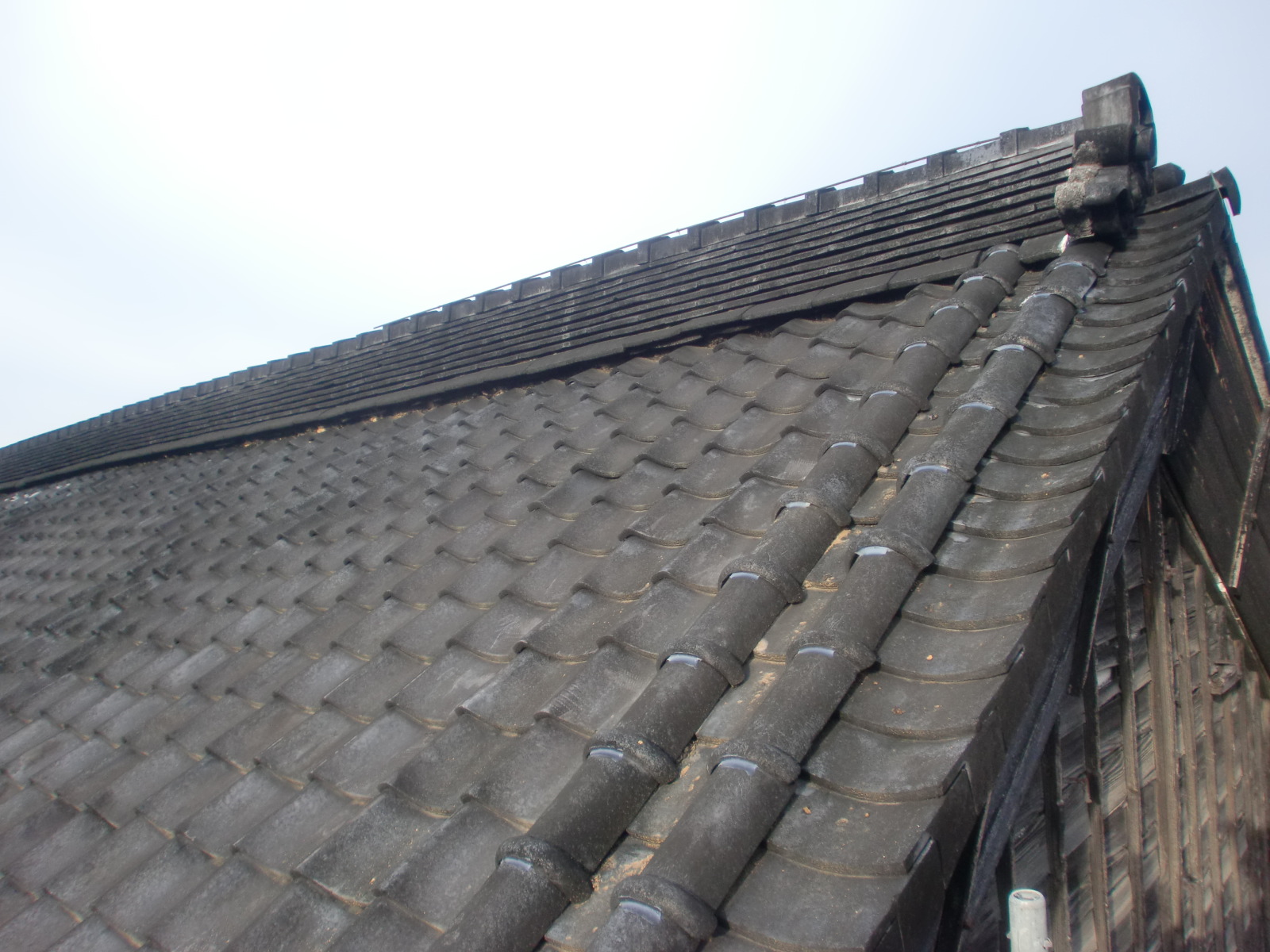 津市で屋根の修理