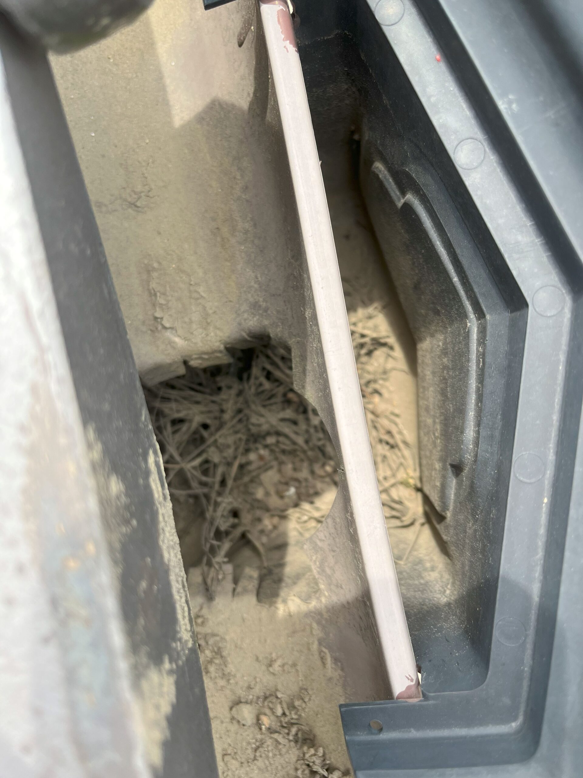 津市で軒樋集水器掃除