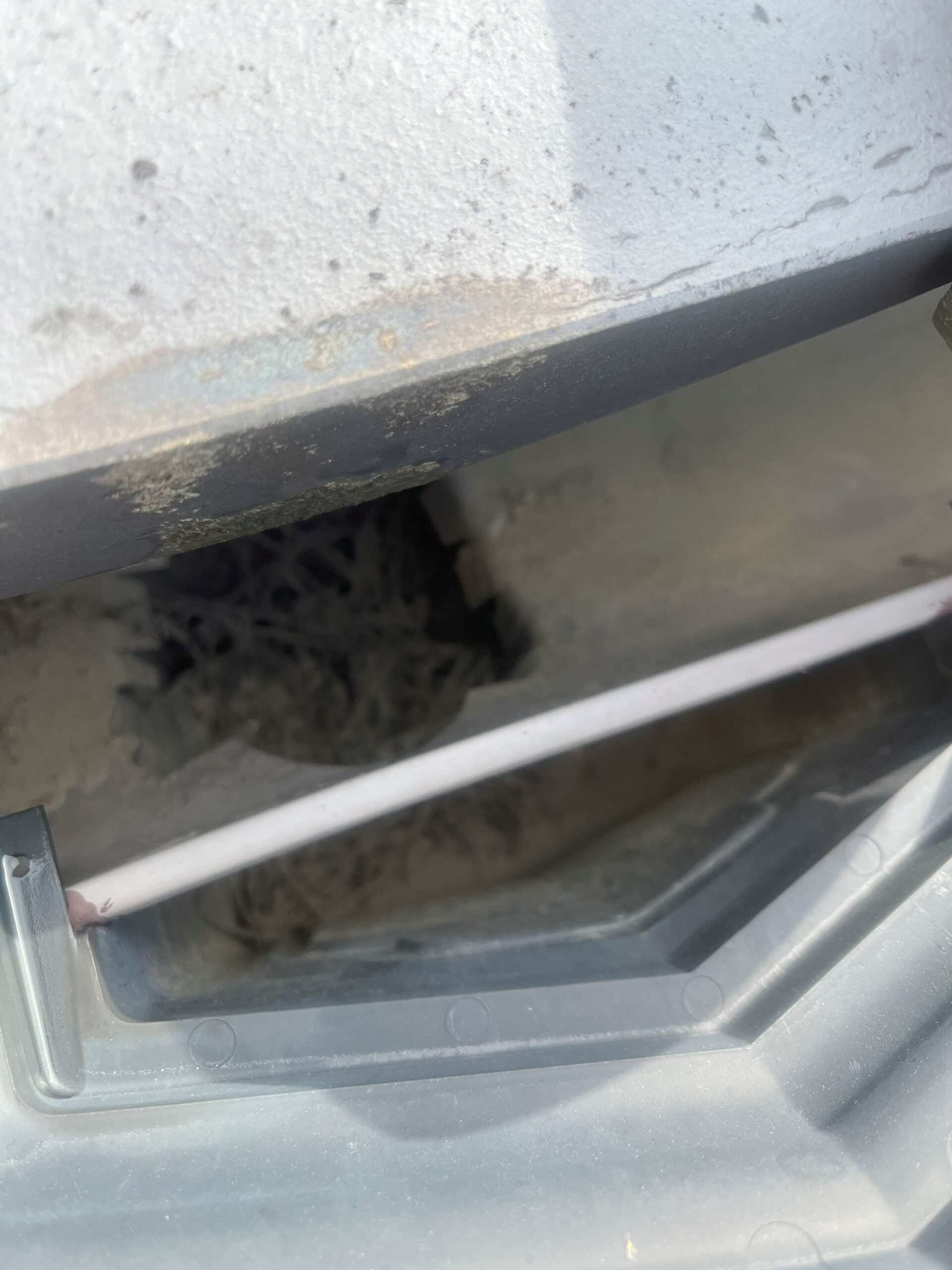 津市で軒樋集水器掃除